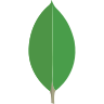 ICONE MongoDB